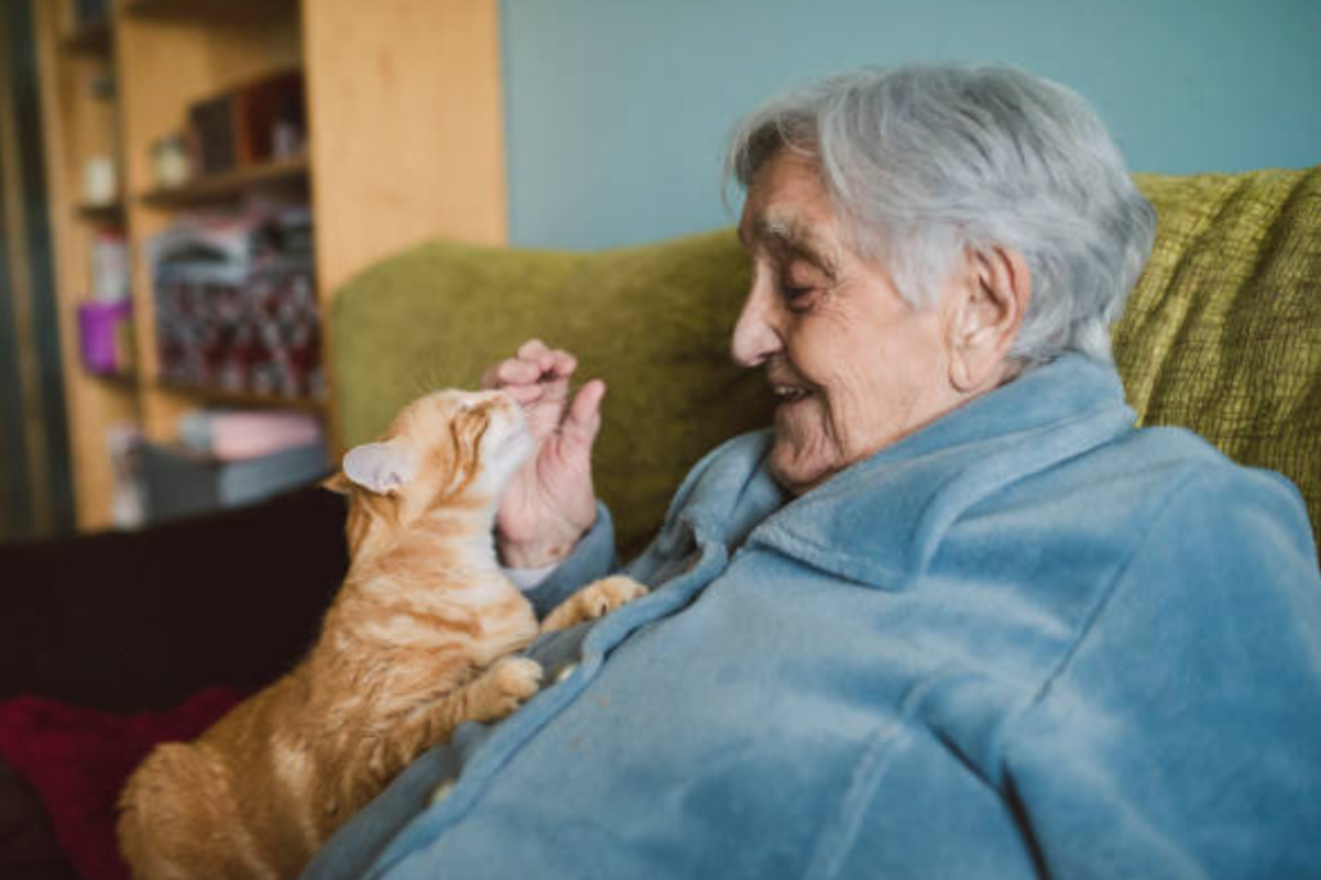 Elderly person interacting with caregiver