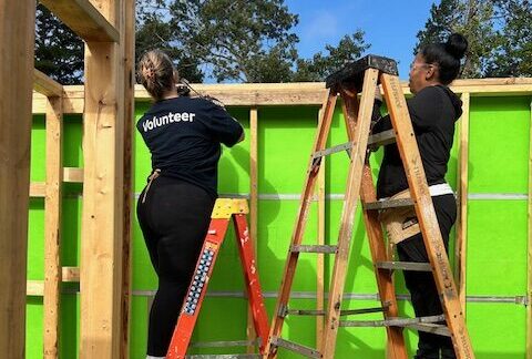 Volunteer painting green wall